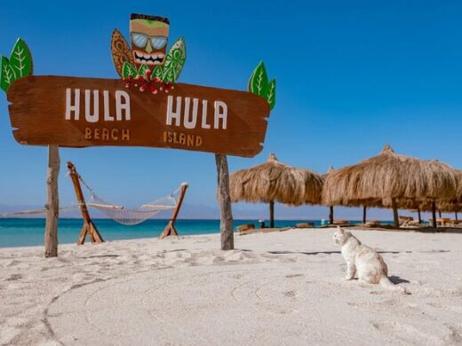 hula hula