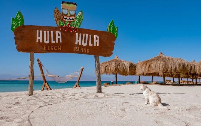hula hula
