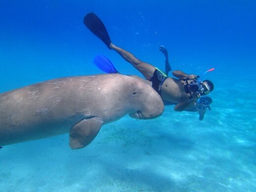 Abu-Dabbab-Snorkeling